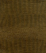 detail of a book cover