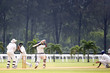 cricket game