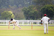 cricket game
