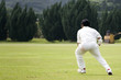cricket game