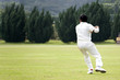 cricket game