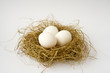 easter
