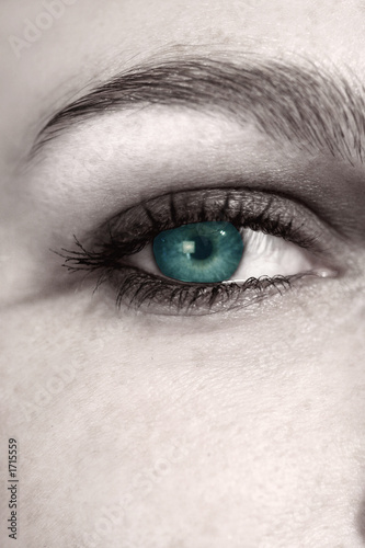 regard