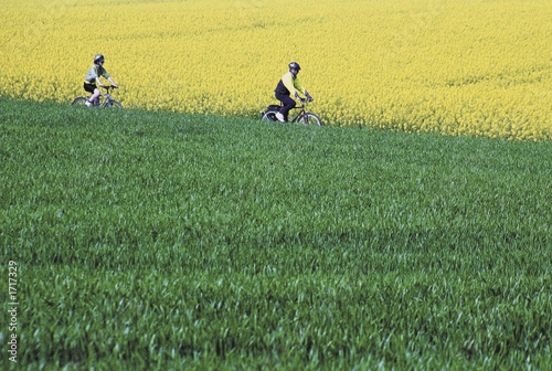 cyclists barton hills bedfordshire