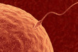 Illustration: fertilization fertilization