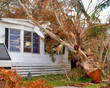 hurricane damage