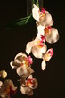 lit flower