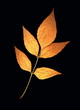 leaf on black 2