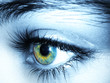 yeux bleu