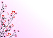 flower fantasy flower fantasy