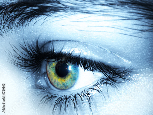 yeux bleu