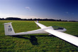 sailplane