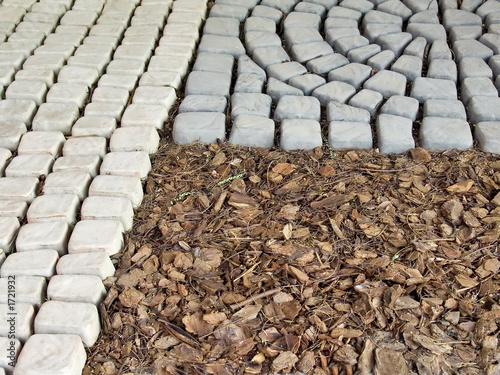 autumn garden stone pattern