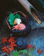 japanese earthenware autumn still-life