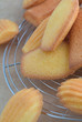 freshly baked cookies