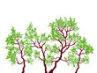 trees