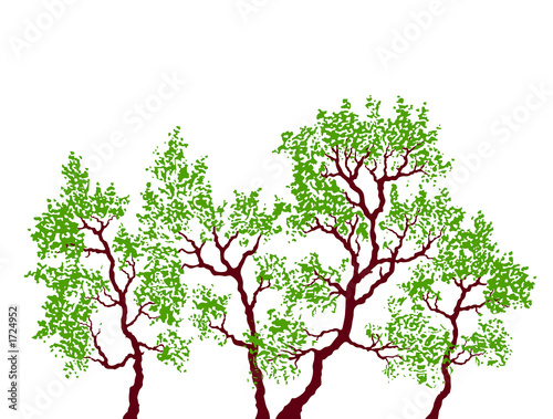 Illustration: trees trees