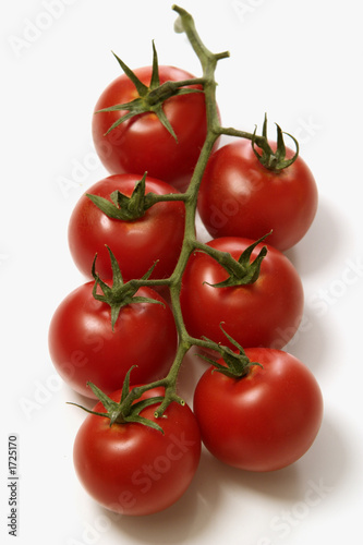 Photo: legume legume