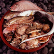 fresh fish and shellfish selection