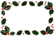 holly leaf and berry border