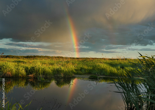 after rain
