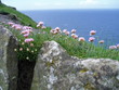 coastal beauty coastal beauty