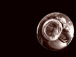 trombone or tuba detail