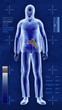 security scan