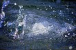 goutte d'eau goutte d'eau