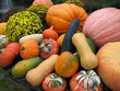 courges et  potirons
