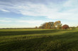 impressionen eines herbstmorgens