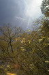 impressionen eines herbstmorgens