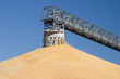 corn pile
