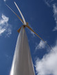 wind farm