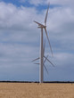 wind farm