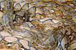 python pile