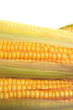 fresh corn fresh corn