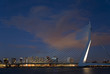 suspension bridge 7