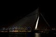 suspension bridge 8