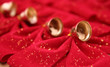 christmas bows