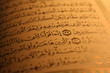  pages of holy koran