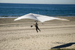 hang glider 2