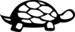 land turtle