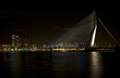 suspension bridge 9