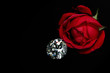 rose diamond