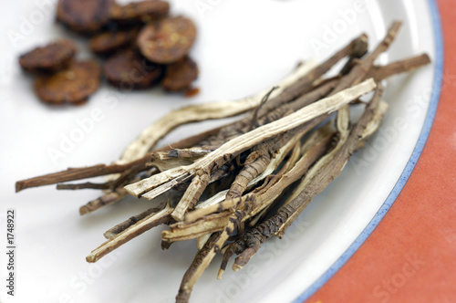 Photo: traditional chinese medicinal herbs 2 traditional chinese medicinal herbs 2