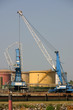 grues grues