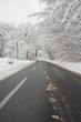 winterliche straße
