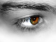 yeux marron