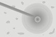 cloning process